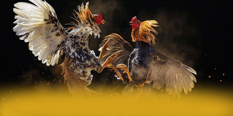 Quy trình giao dịch tiện lợi tại 8xbet Quy trình giao dịch tiện lợi tại 8xbet