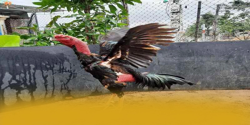 Hệ thống thanh toán đa dạng tại FB88