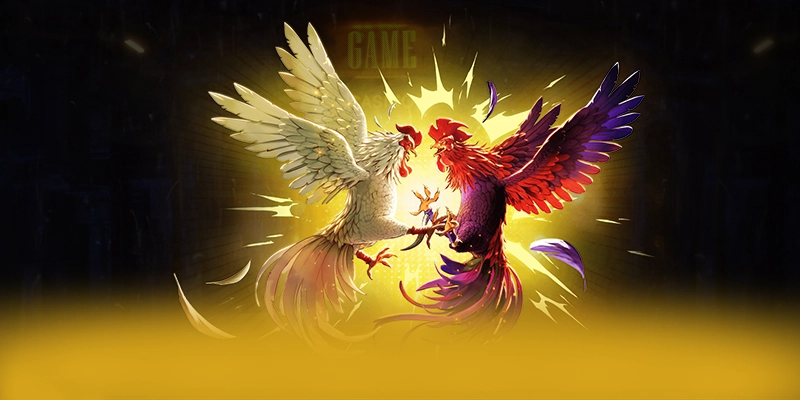 Tìm hiểu BET88 - Trang game chất lượng tại Việt Nam Tìm hiểu BET88 - Trang game chất lượng tại Việt Nam